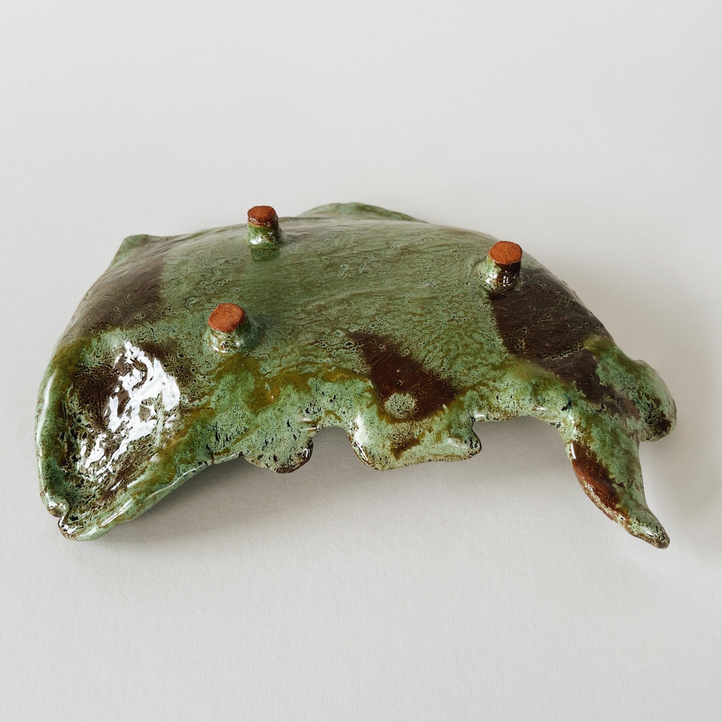 Ceramic Fish Serving Platter
