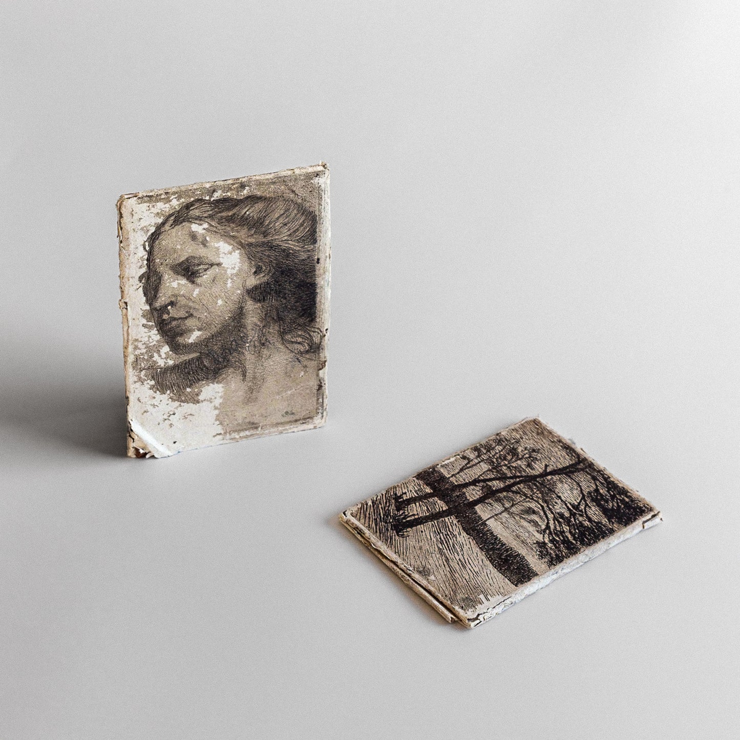 Graphic Prints and Plates