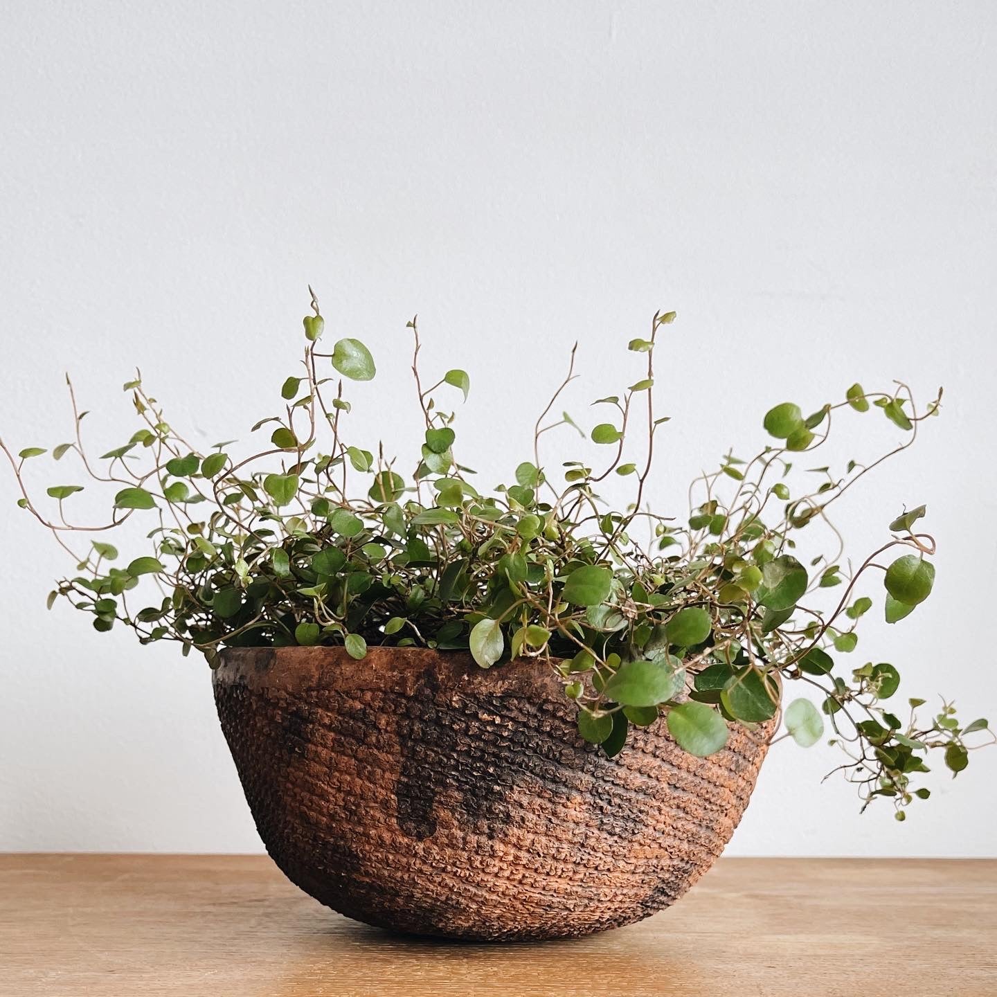 Antique Ceramic Bowl
