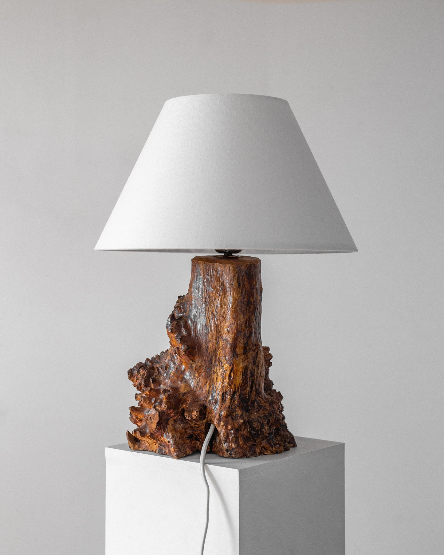 Freeform Burl Wood Table Lamp