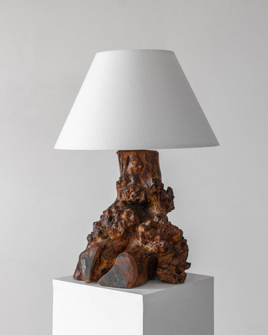 Freeform Burl Wood Table Lamp