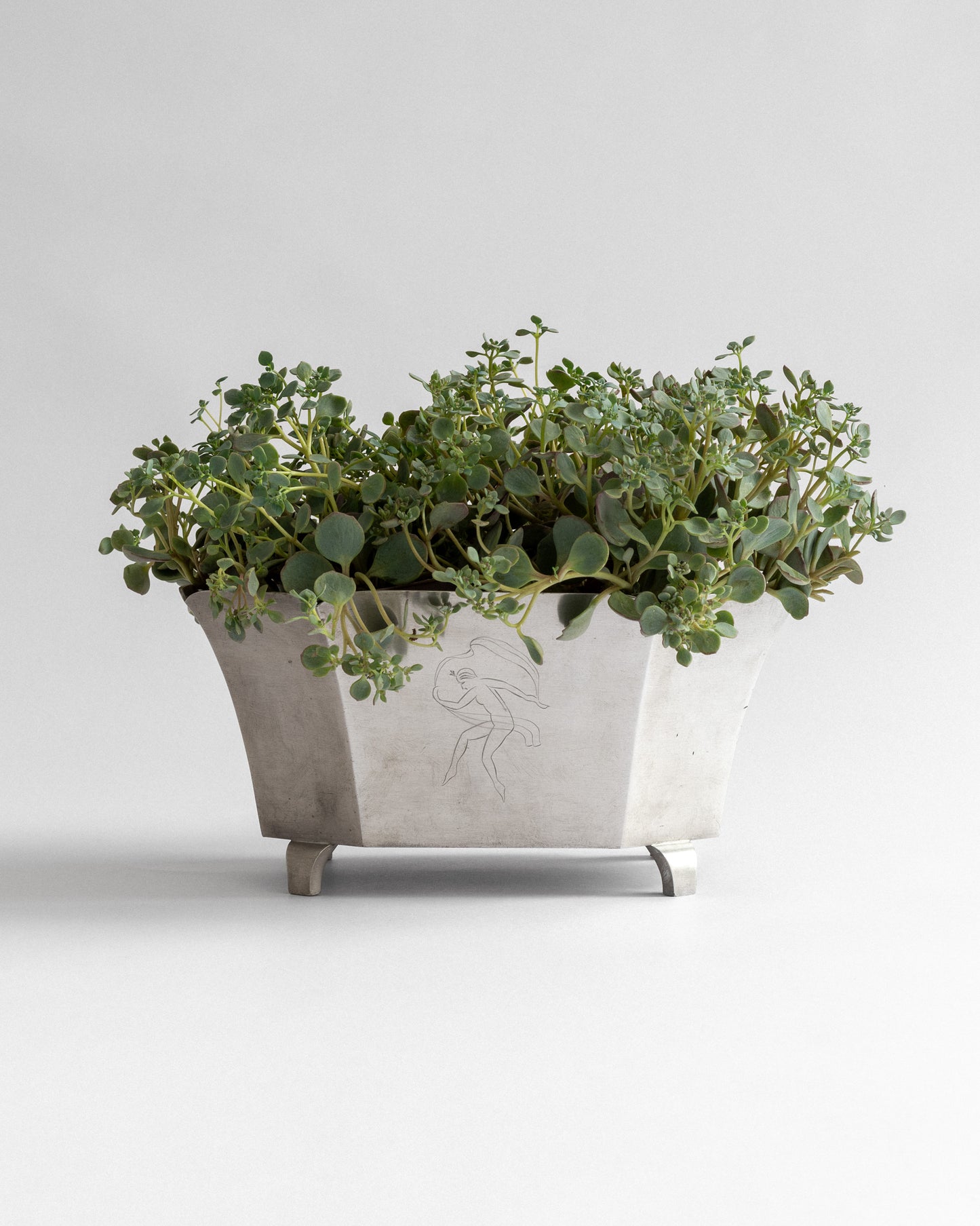 Pewter Jardinière