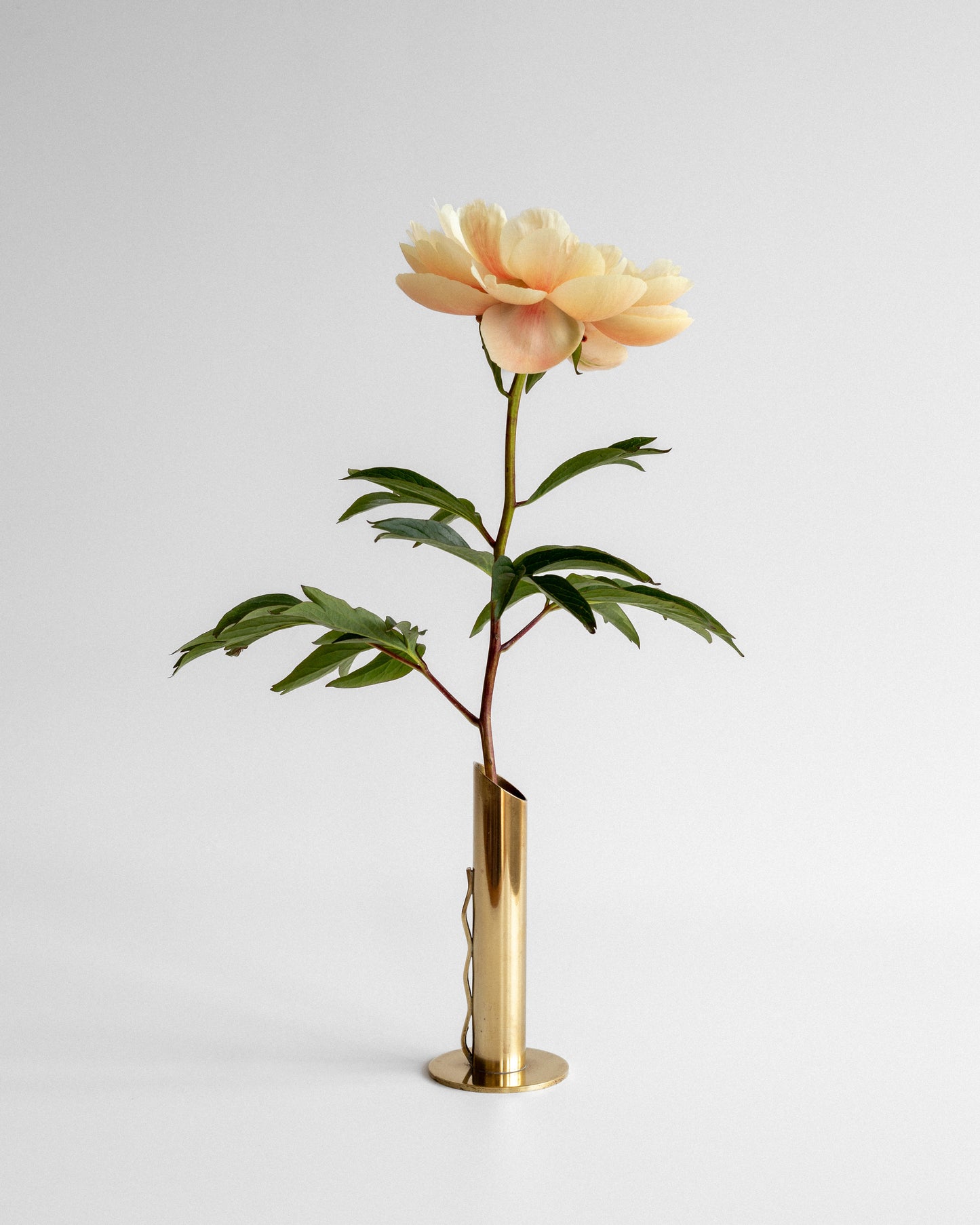 Brass Vase